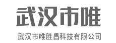 自研芯片架构，突破算力天花板-武汉市唯胜昌科技有限公司